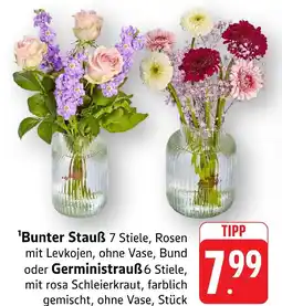 Marktkauf Bunter strauß Angebot