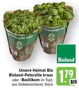 Marktkauf Unsere heimat bio bioland-petersilie kraus Angebot