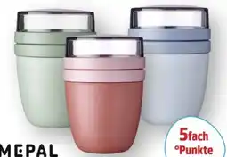 Scheck-in-Center Mepal Lunch-Vorratsdose Angebot