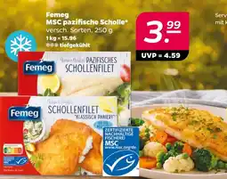 Netto Femeg MSC pazifische Scholle Angebot