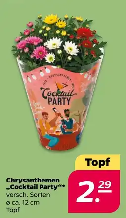 Netto Chrysanthemen "Cocktail Party"* Angebot