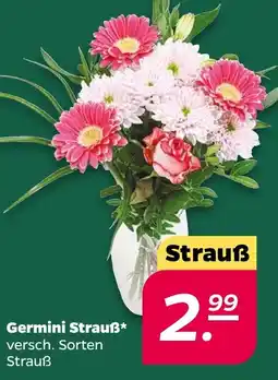 Netto Germini Strauß Angebot