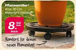Netto Pflanzenroller* Angebot