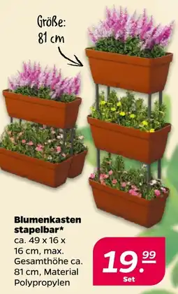 Netto Blumenkasten stapelbar* Angebot