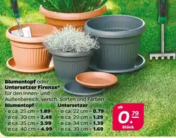 Netto Blumentopf oder Untersetzer Firenze Angebot