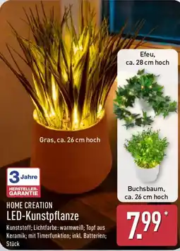 Aldi Nord HOME CREATION LED-Kunstpflanze Angebot