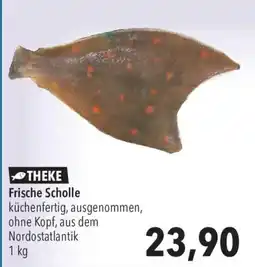 CITTI Markt THEKE Frische Scholle Angebot