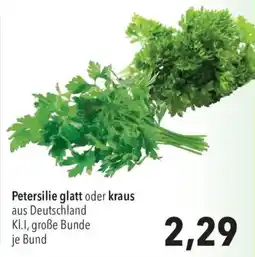 CITTI Markt Petersilie glatt oder kraus Angebot