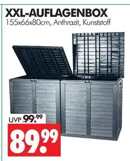 Wreesmann Xxl-auflagenbox Angebot