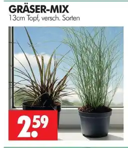 Wreesmann Gräser-mix Angebot