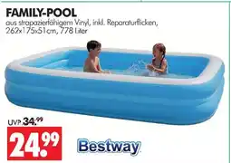 Wreesmann Bestway family-pool Angebot