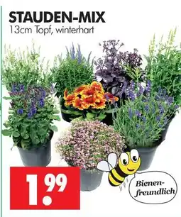 Wreesmann Stauden-mix Angebot