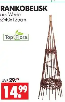 Wreesmann Top flora rankobelisk Angebot