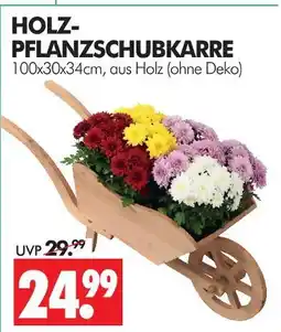 Wreesmann Holz-pflanzschubkarre Angebot
