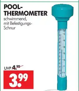 Wreesmann Pool-thermometer Angebot