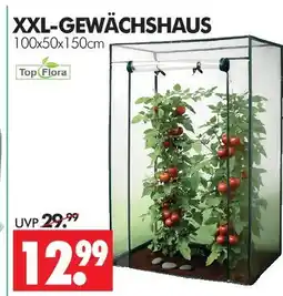 Wreesmann Top flora xxl-gewächshaus Angebot