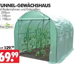 Wreesmann Top flora tunnel-gewächshaus Angebot