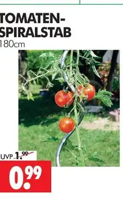 Wreesmann Tomaten-spiralstab Angebot