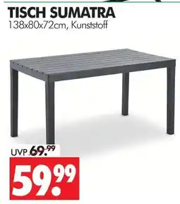 Wreesmann Tisch sumatra Angebot