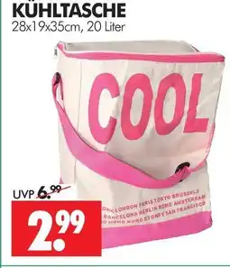 Wreesmann Kühltasche Angebot