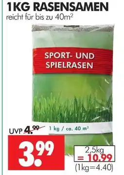 Wreesmann Rasensamen 1 kg Angebot