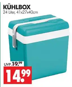 Wreesmann Kühlbox Angebot