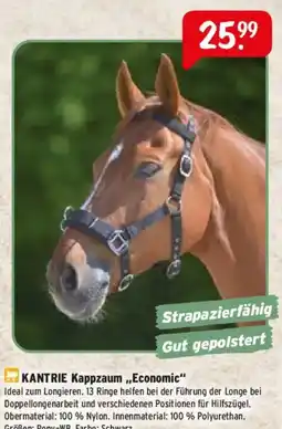 Raiffeisen Markt KANTRIE Kappzaum „Economic“ Angebot