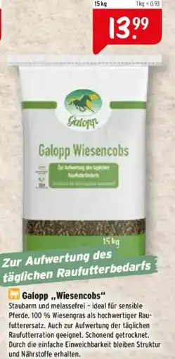 Raiffeisen Markt Galopp Wiesencobs Angebot