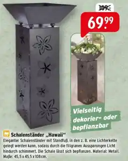 Raiffeisen Markt Schalenständer "Hawaii" Angebot