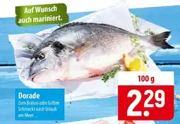 Famila Nord Ost Dorade Angebot