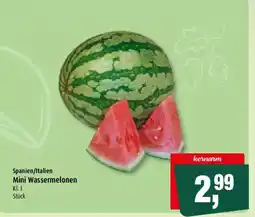 Markant Mini Wassermelonen Angebot