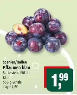Markant Pflaumen blau Angebot