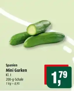 Markant Spanien Mini Gurken Angebot