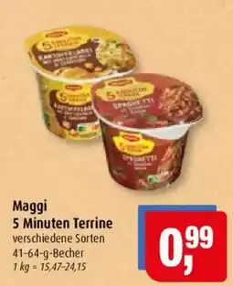 Markant Maggi 5 Minuten Terrine Angebot