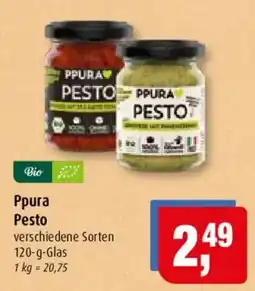 Markant Ppura Pesto Angebot