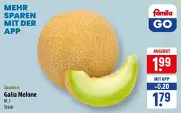 Famila Nord Ost Galia Melone Angebot