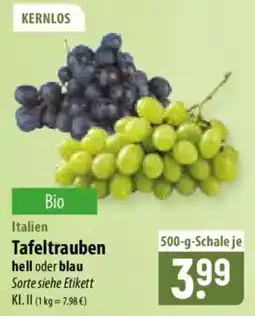 Famila Nord Ost Tafeltrauben Angebot