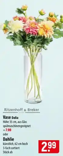 Famila Nord Ost Vase Dalia Angebot