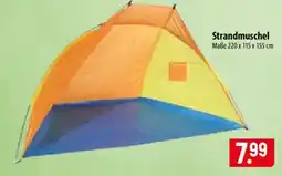 Famila Nord Ost Strandmuschel Angebot