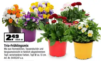 OBI Trio Frühlingsmix Angebot