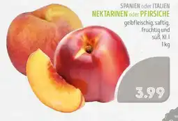 Edeka Struve NEKTARINEN oder PFIRSICHE Angebot