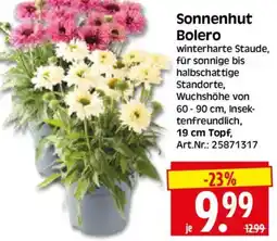 Herkules Baumarkt Sonnenhut Bolero Angebot