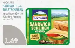 Edeka Struve Hochland Sandwichscheiben mit Gouda Angebot