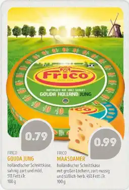 Edeka Struve FRICO GOUDA JUNG Angebot