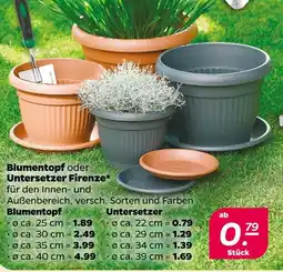 Netto Blumentopf firenze Angebot