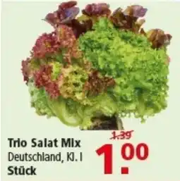 Multi Markt Trio Salat Mix Angebot