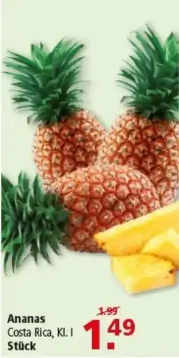 Multi Markt Ananas Costa Rica Angebot