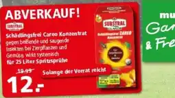 Multi Markt Substral Careo Konzentrat Angebot