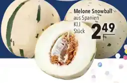 CITTI Markt Melone Snowball Angebot