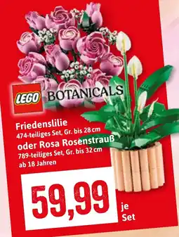 Stolz LEGO BOTANICALS Friedenslilie Angebot